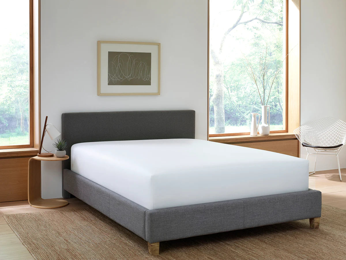 Mattress Protector
